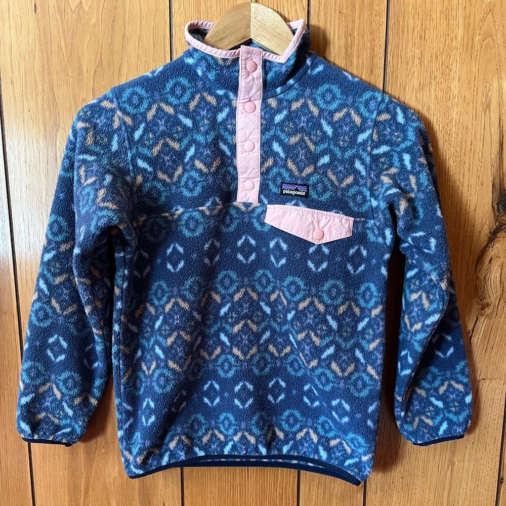 Patagonia Kids Blue and Pink Patterned Synchilla Fleece Hoodie